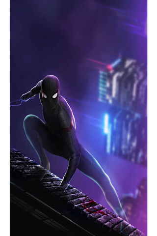 Web-Slinger in the City Lights 🌆🕷️