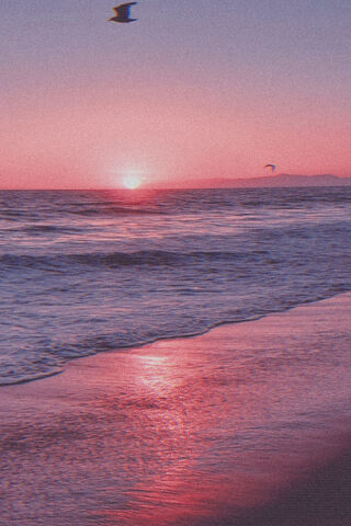 Sunset Serenity: A Supe..