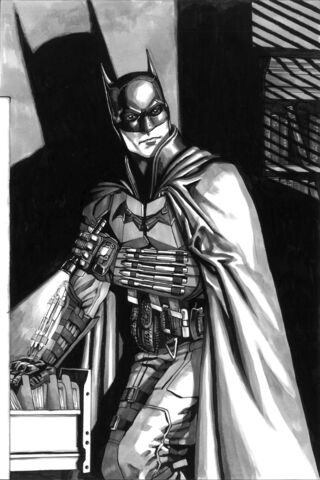 Shadow of the Dark Knight 🦇