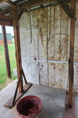 The Haunting Grounds of Texas Chainsaw Massacre 🪓🔪