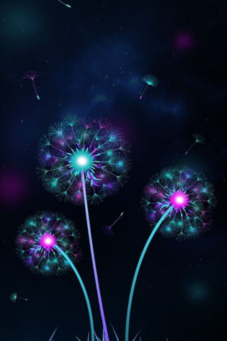 Cosmic Dreams: A Journey Through Sky Entertainment 🌌✨