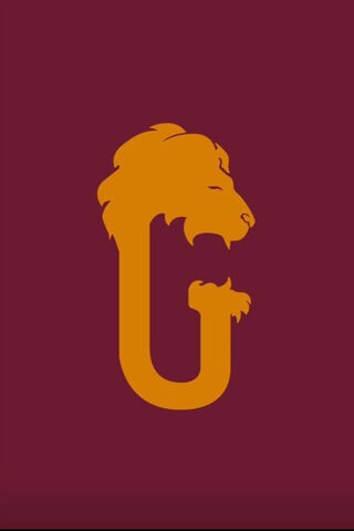 The Roaring Spirit of Gryffindor 🦁✨