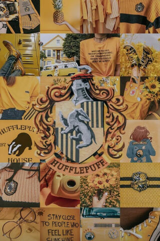 Hufflepuff Vibes: A Cel..
