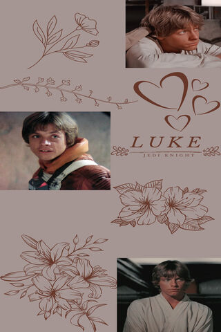 Luke Skywalker Wlp