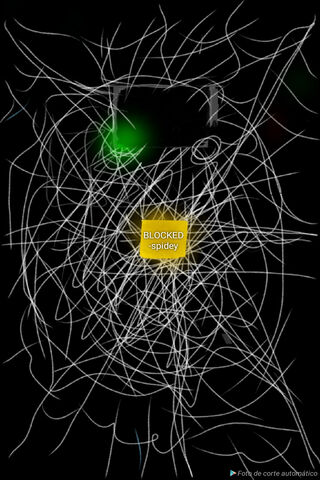 Spiderman Web Blocked