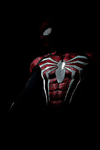 The Shadow of a Hero: S..