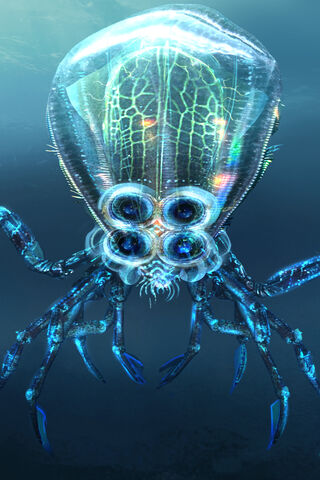 Mystical Depths: The Enigmatic 04Sub