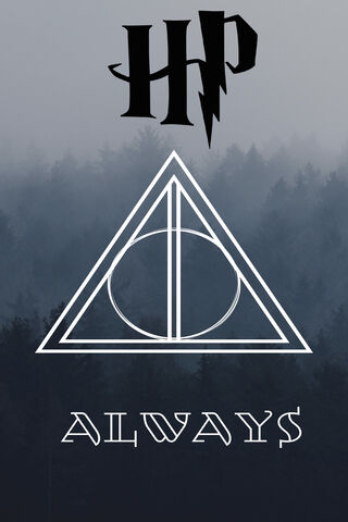 Always Harry Potter