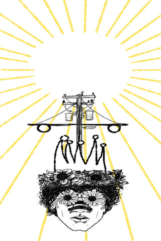Astor: The Crown of Enlightenment 🌼☀️