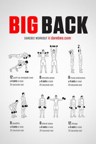 Build Your Big Back: A Comprehensive Workout Guide 💪