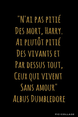 Wisdom Beyond the Veil 🌌✨