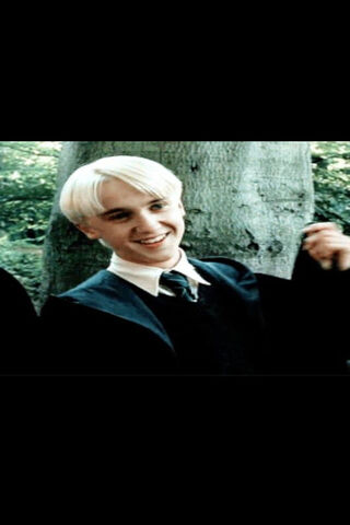 The Slytherin Charm: Draco Malfoy Unleashed 🐍✨