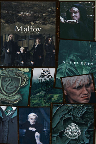 Draco Collage