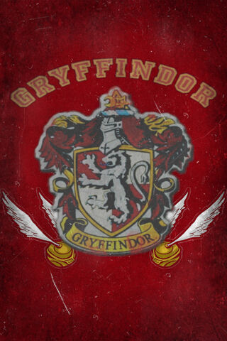 The Brave Heart of Gryffindor 🦁✨