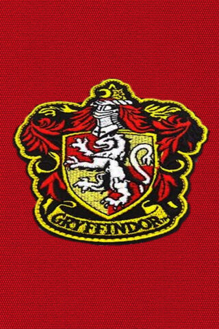 The Bold Emblem of Gryffindor 🦁✨