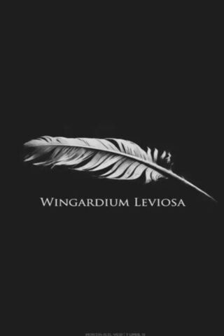 The Magic of Flight: Wingardium Leviosa 🪄✨