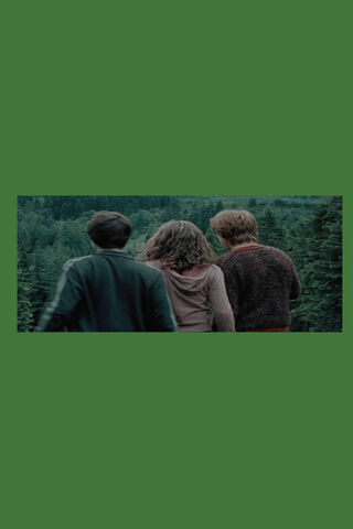 The Trio's Journey: A Magical Adventure Awaits! ✨