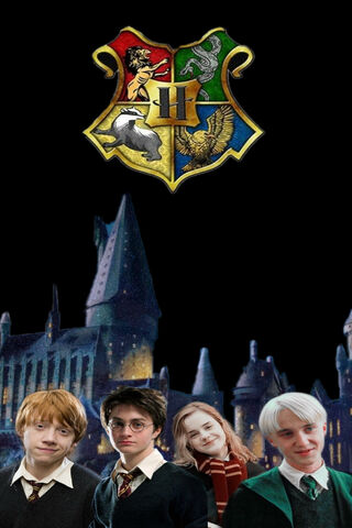 Hogwarts Collage