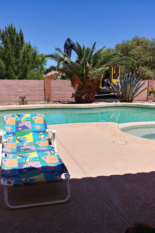 Poolside Hideaway 🌴🏖️