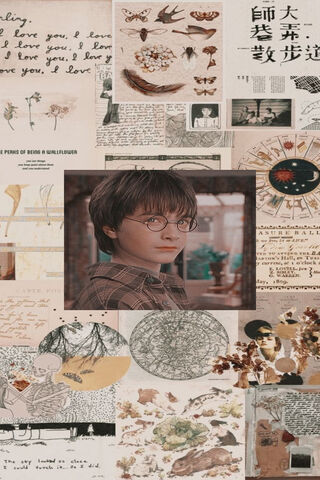 The Boy Who Lived: A Magical Journey