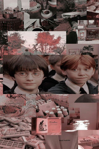 Magic Moments: A Journey Through Hogwarts