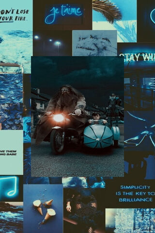 A Magical Ride Through the Wizarding World ✨🧙 ️