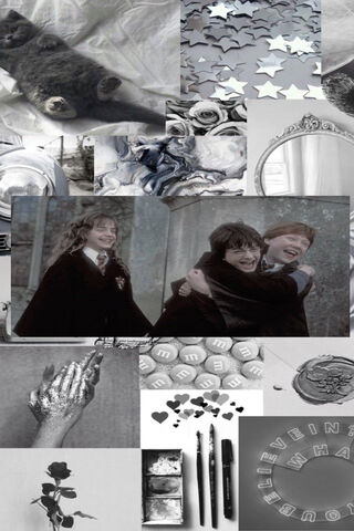 Magical Moments in Black and White ✨