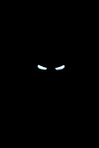 The Shadow of a Hero: I..