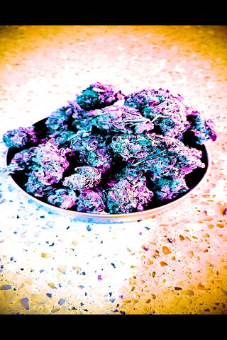 Purple Kush: A Royal Indulgence 🌿💜