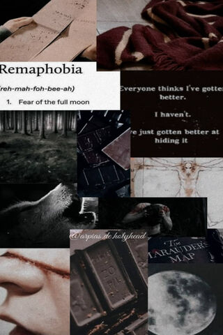 Embracing the Night: The Story of Remus Lupin 🌕✨