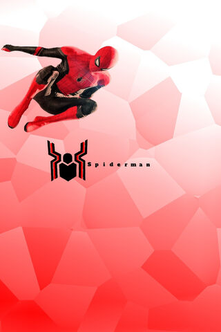Web-Slinger in Action! 🕷️✨