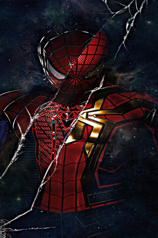 Spiderman Suit