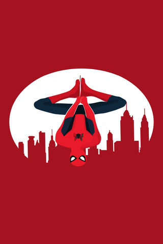 Web-Slinger in Action! 🕷️🕸️