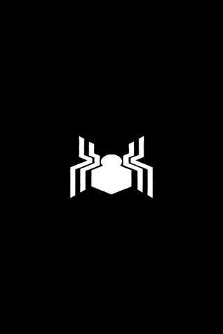 Web of Heroes: The Icon..