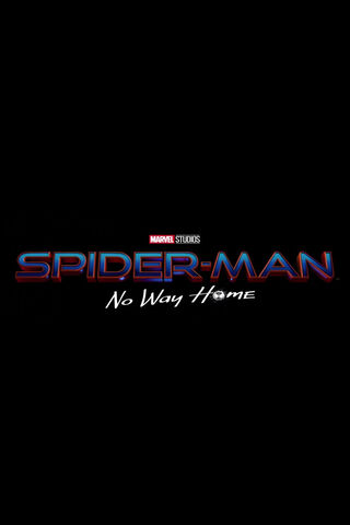 Spider-Man: The Multiverse Awaits! 🕷️✨