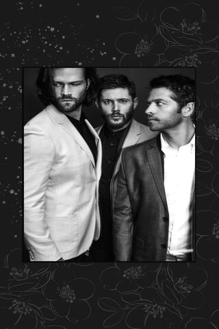 Mystical Bonds: The Supernatural Brotherhood