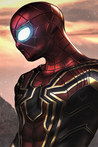 Web-Slinger in Action! ..