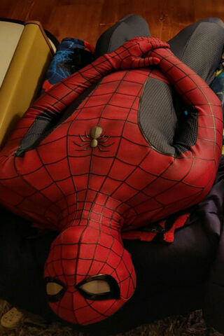 Spider-Man Lotus: A Hero's Rest