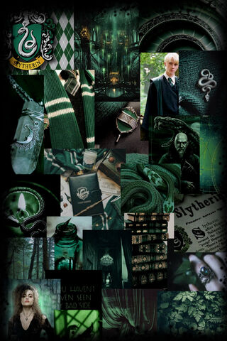 The Enigmatic World of Slytherin 🐍✨