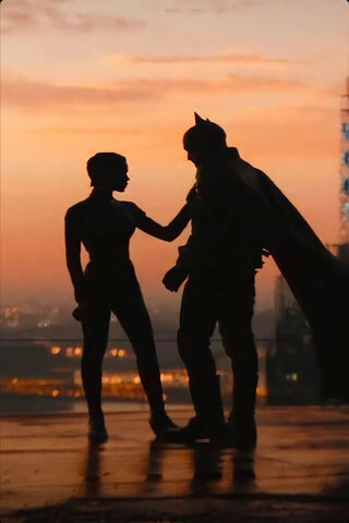 Shadows of Gotham: A He..