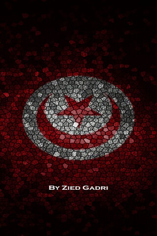 Mosaic of Tunisia: A Cultural Emblem 🇹🇳✨