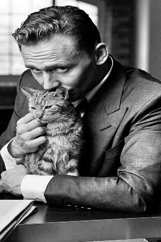 A Purr-fect Moment: Elegance and Affection