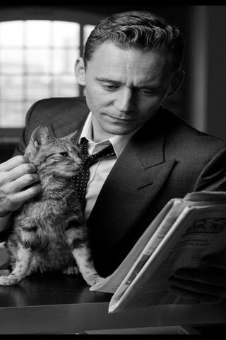 A Purr-fect Moment: Reading with Feline Friends 🐾📖