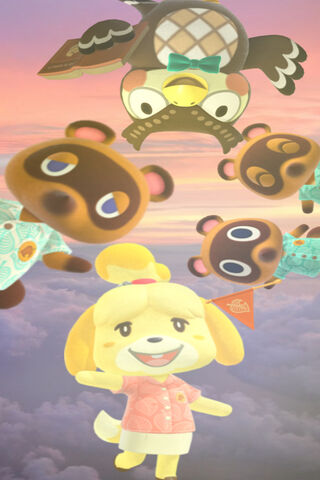 Animal Crossing Dream Team 🌟