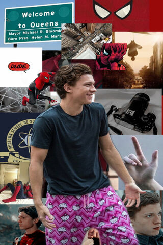 Tom Holland: The Friend..