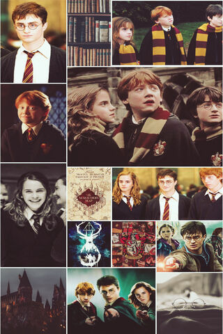 The Magic of Friendship..