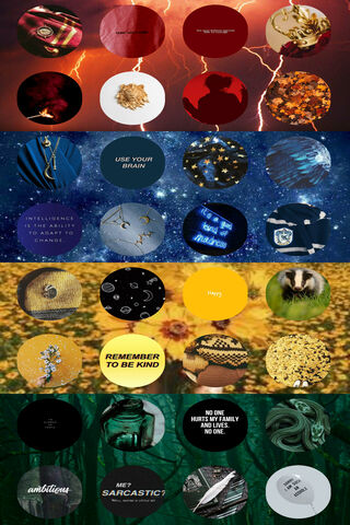 Enchanted Realms of Hogwarts ✨