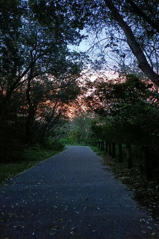 Pathway to Adventure: A Jurassic Journey 🌄🦖