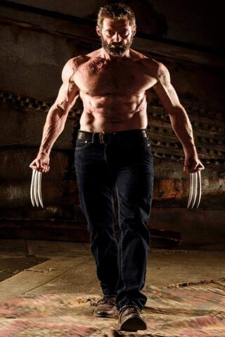 Logan: The Relentless Warrior 🐾