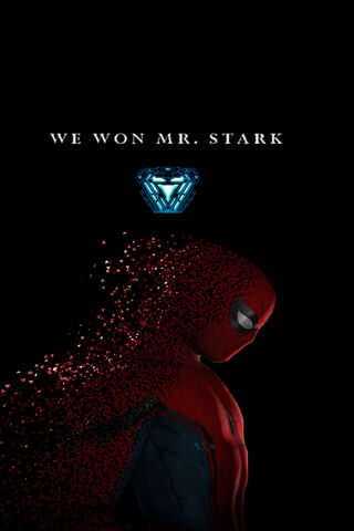 The Legacy of Spidey: A Hero's Tribute 🕷️✨